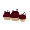Berry Rope Baskets - Set Of 3