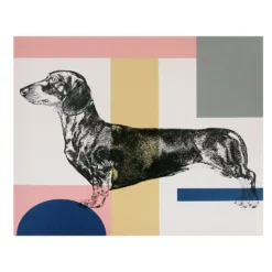 Sausage Dog Canvas
