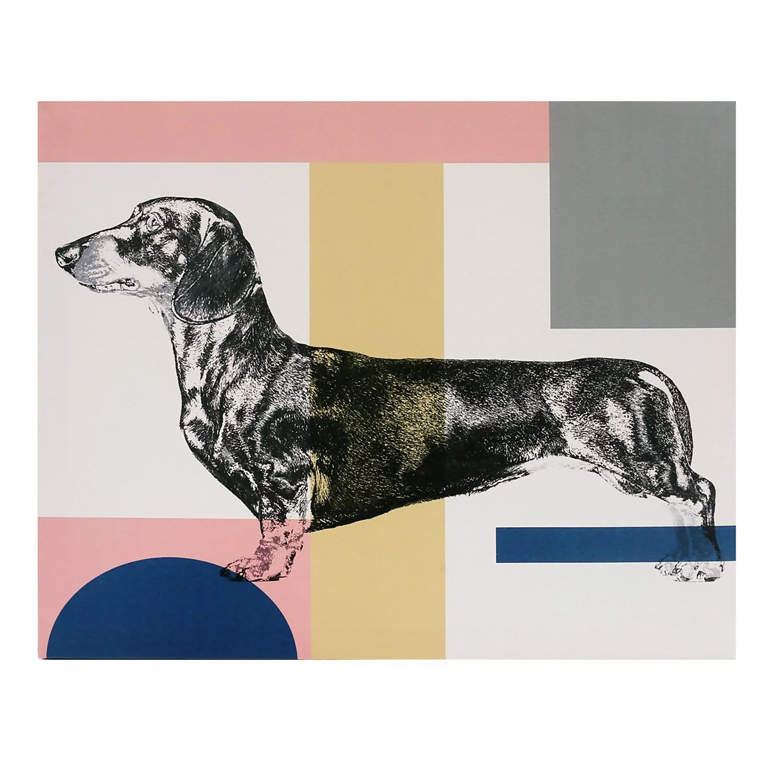 Sausage Dog Canvas 1 Sausage Dog Canvas