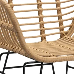 Ronnie Rattan Dining Chair - Set Of 2 -Furniture Series 13644186 1804997056966623